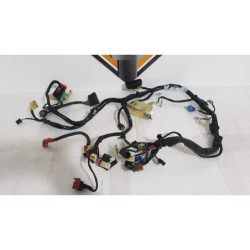 Instalatie Electrica Honda CBF 600 NA - HORNET - PC 38F - 2005 2