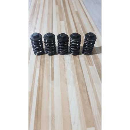 Clutch Springs Kawasaki ZZR 600D - 1993 