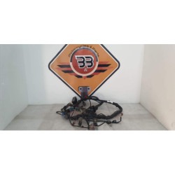 Instalatie Electrica Honda DN 01 - NSA 700A - 2008 