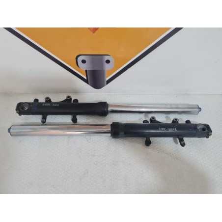 Front Forks Kawasaki Ninja ZX9R - 2002 
