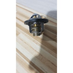 Termostat Suzuki GSXR 600 - SRAD - 2000 2