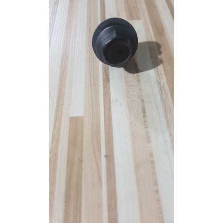 Rotor Screw Suzuki GSXR 750 - SRAD - 1999 