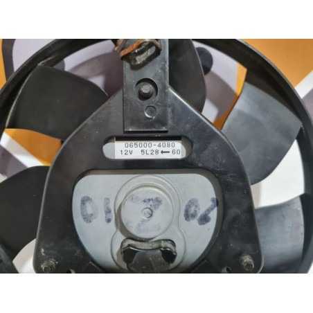 Fan Kawasaki Z 750 - 2010 