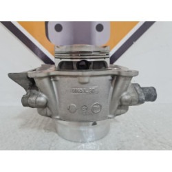 Cylinder & Piston Ducati 749 S - 2004 2