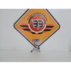 Ansamblu Scarita Stanga Pilot Honda 929 - SC 44 - 2001 