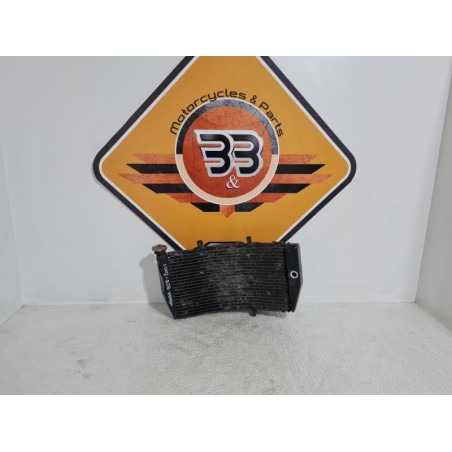 Radiator & Fan Honda 929 - SC 44 - 2001 