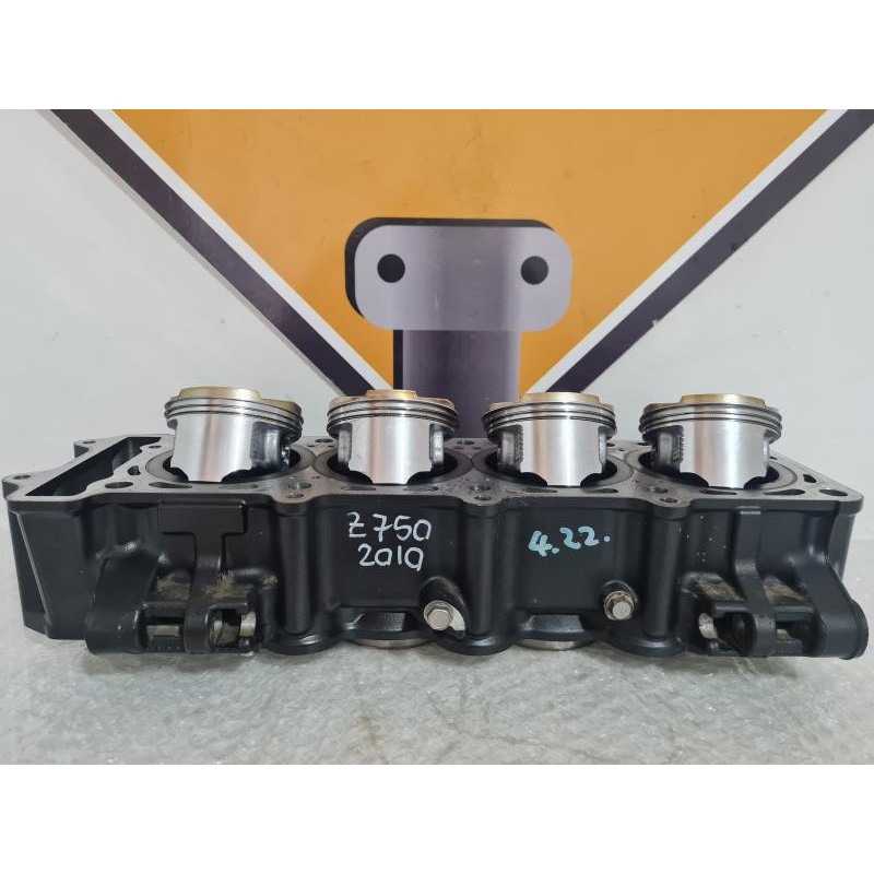 Cylinder & Pistons Kawasaki Z 750 - 2010 