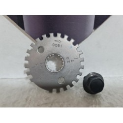 Ignition Timing Kawasaki Z 750 - 2010 2