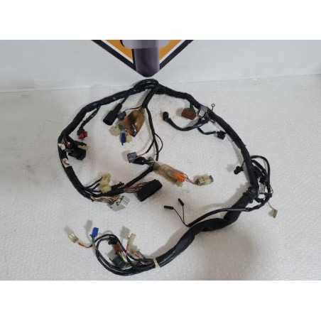 Wiring Harness Honda CB 900 - Hornet - 2003 