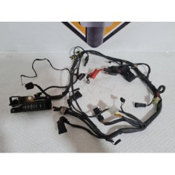 Wiring Harness Ducati Monster 600 - 2000 2