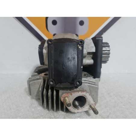 Complete Horizontal Head Ducati Monster 600 - 2000 