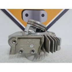 Horizontal Cylinder & Piston Ducati Monster 600 - 2000 2