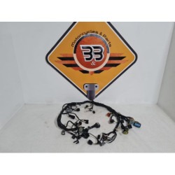 Wiring Harness Kawasaki Z 750 - 2005