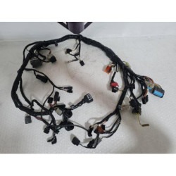 Wiring Harness Kawasaki Z 750 - 2005 2