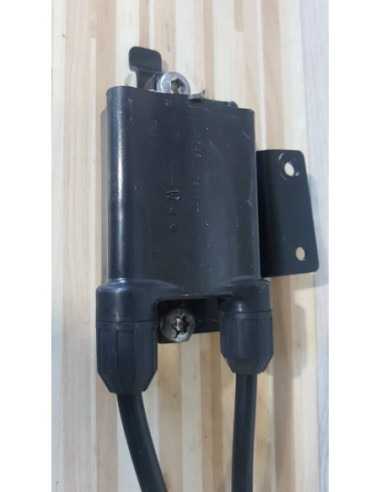 Bobina Inductie & Fise Triumph Bonneville T 100 - Black - 2015 