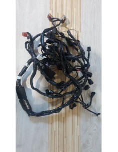 Instalatie Electrica Triumph Bonneville T 100 - Black - 2015 