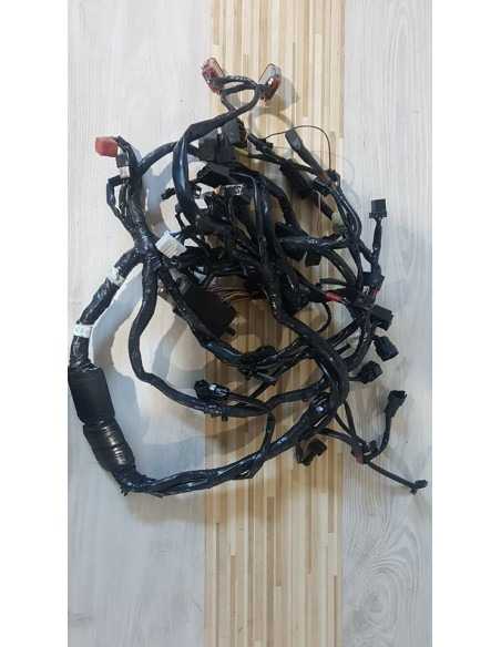 Instalatie Electrica Triumph Bonneville T 100 - Black - 2015 