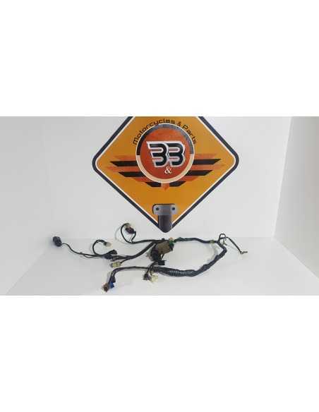 Electrical Wiring Honda CB 600F - Hornet - PC 36A - 2004 