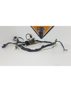 Electrical Wiring Honda CB 600F - Hornet - PC 36A - 2004 2