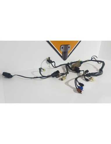 Instalatie Electrica Honda CB 600F - Hornet - PC 36A - 2004 