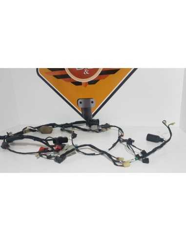 Instalatie Electrica Honda CBR 600 - F4i - PC 36 E - 2003 