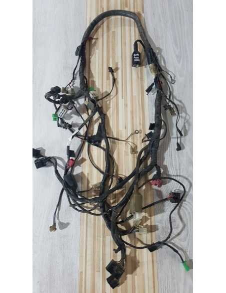 Electrical Wirings Kawasaki ZZR 400 - 2000 