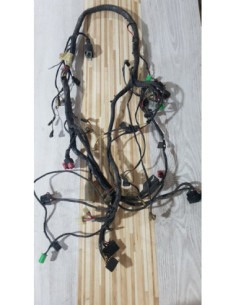 Instalatie Electrica Kawasaki ZZR 400 - 2000 2