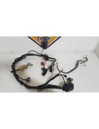 Instalatie Electrica Honda CBR 600 - F4i - PC 35 - 2001 