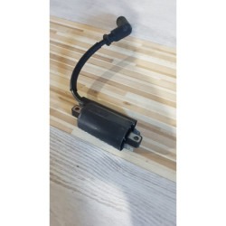 Ignition Coil & Coil Plug Yamaha XT 660Z - 2012 