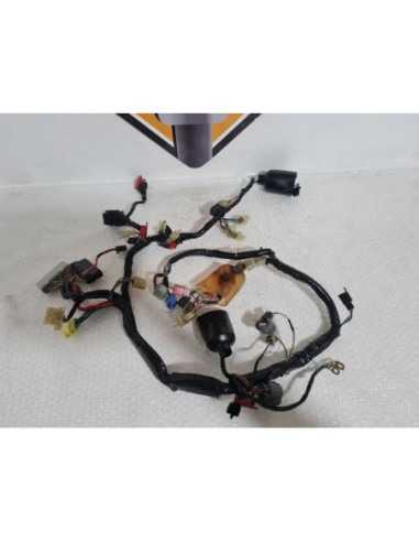Wiring Harness Honda 954 - SC 50 - 2003 