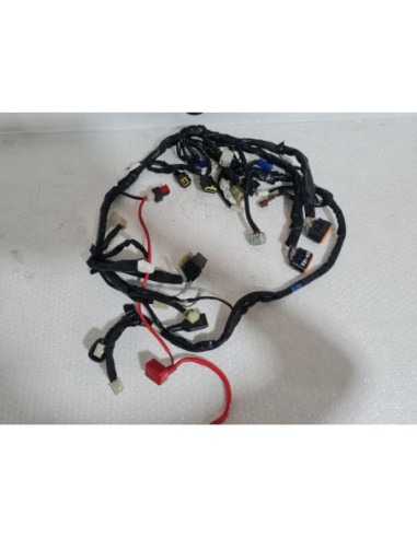 Wiring Harness Yamaha FAZER - FZ 1 - 2008 