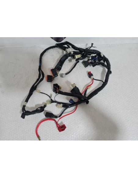 Instalatie Electrica Yamaha FAZER - FZ 1 - 2008 