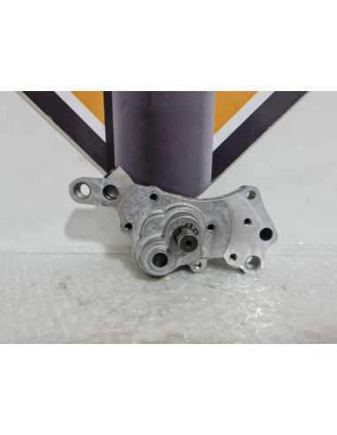 Oil Pump Ducati Monster 600 2000, 17420383D