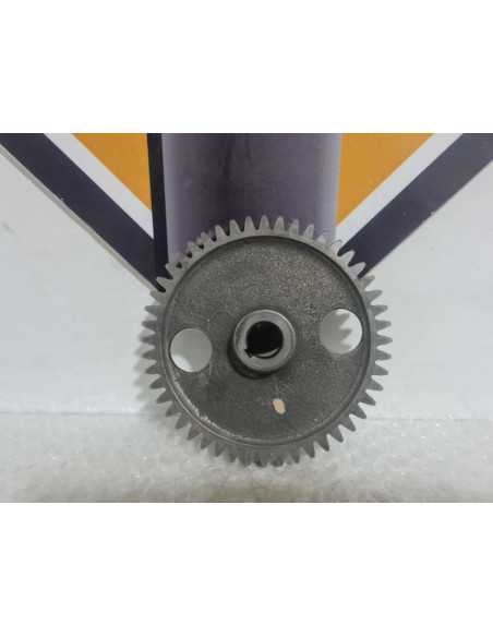 Timing Gear Ducati Monster 600 2000, 17120251A