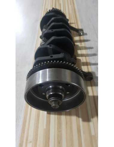 Vibrochen Complet Kawasaki Ninja ZX6R 2001, 130311469 132511131JJ