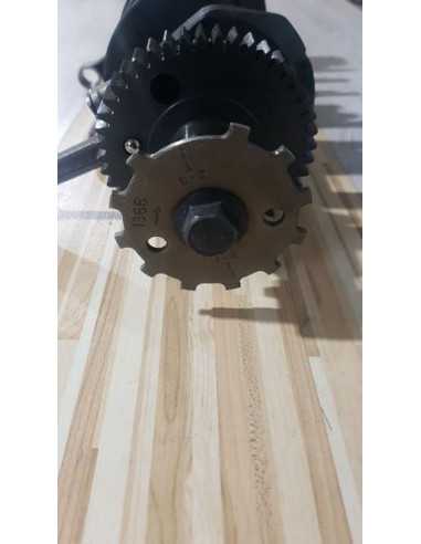 Vibrochen Complet Kawasaki Ninja ZX6R 2001, 130311469 132511131JJ