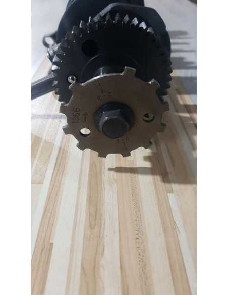 Vibrochen Complet Kawasaki Ninja ZX6R 2001, 130311469 132511131JJ