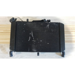 Radiator Complete Yamaha MT 09 - ABS - RN 29 - 2014 