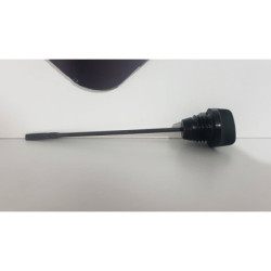 Oil Level Honda CB 600F - HORNET - PC 36A - 2004 2