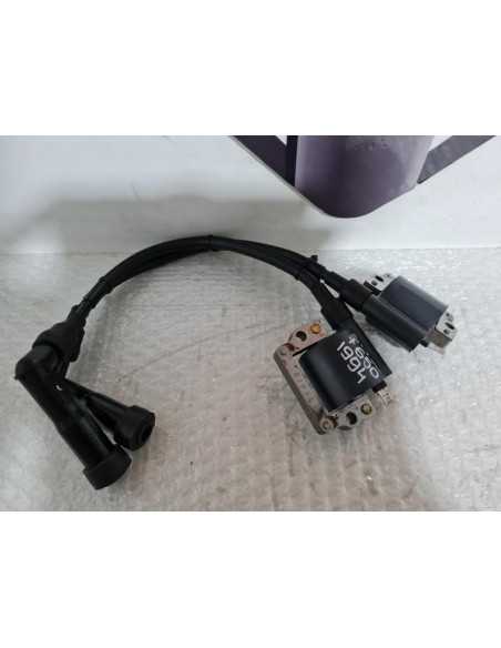 Bobine Inductie Cu Fise BMW F 650 1994, 12132343281 12122343145