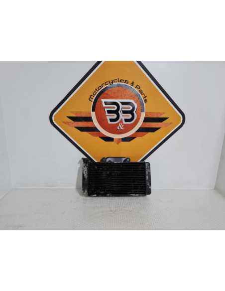 Radiator BMW F 650 1994, 17112345046