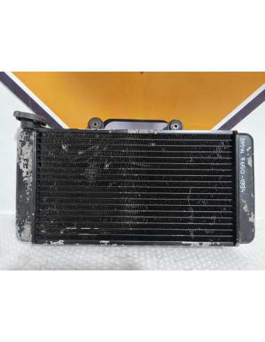 Radiator BMW F 650 1994, 17112345046
