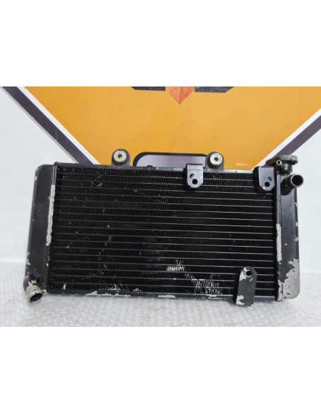Radiator BMW F 650 1994, 17112345046