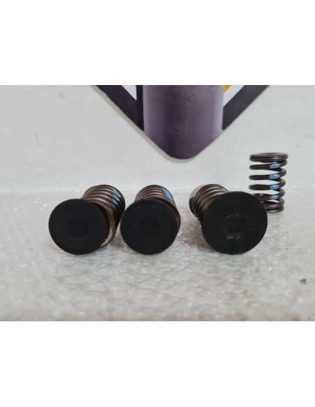 Valves And Springs BMW F 650 1994, 11342343225 11342343226