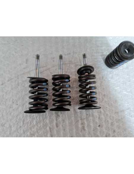 Valves And Springs BMW F 650 1994, 11342343225 11342343226