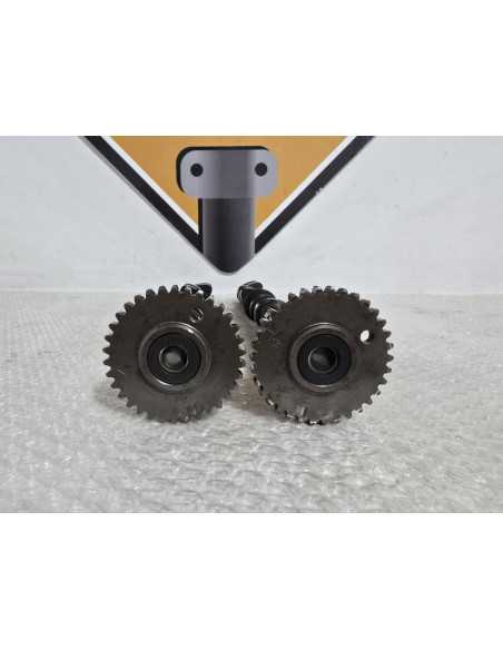 Axe Came Kawasaki Ninja ZX9R 1999, 491181158 491181159