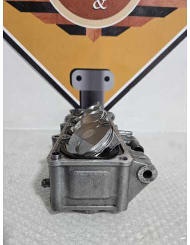 Cylinders And Pistons Kawasaki Ninja ZX9R 1999, 110051879 130011520