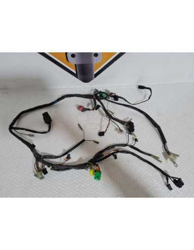 Instalatie Electrica Suzuki GS 500F 2006, 36610C0BEN0J000