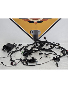 Main Wiring Harness Bmw G 310 GS 0G31 40 Years 2021, 61111541008 2