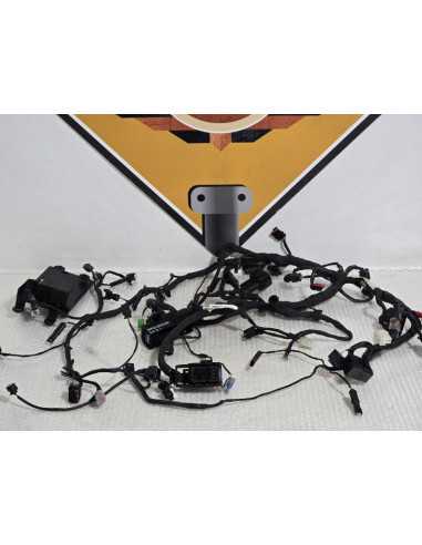 Main Wiring Harness Bmw G 310 GS 0G31 40 Years 2021, 61111541008